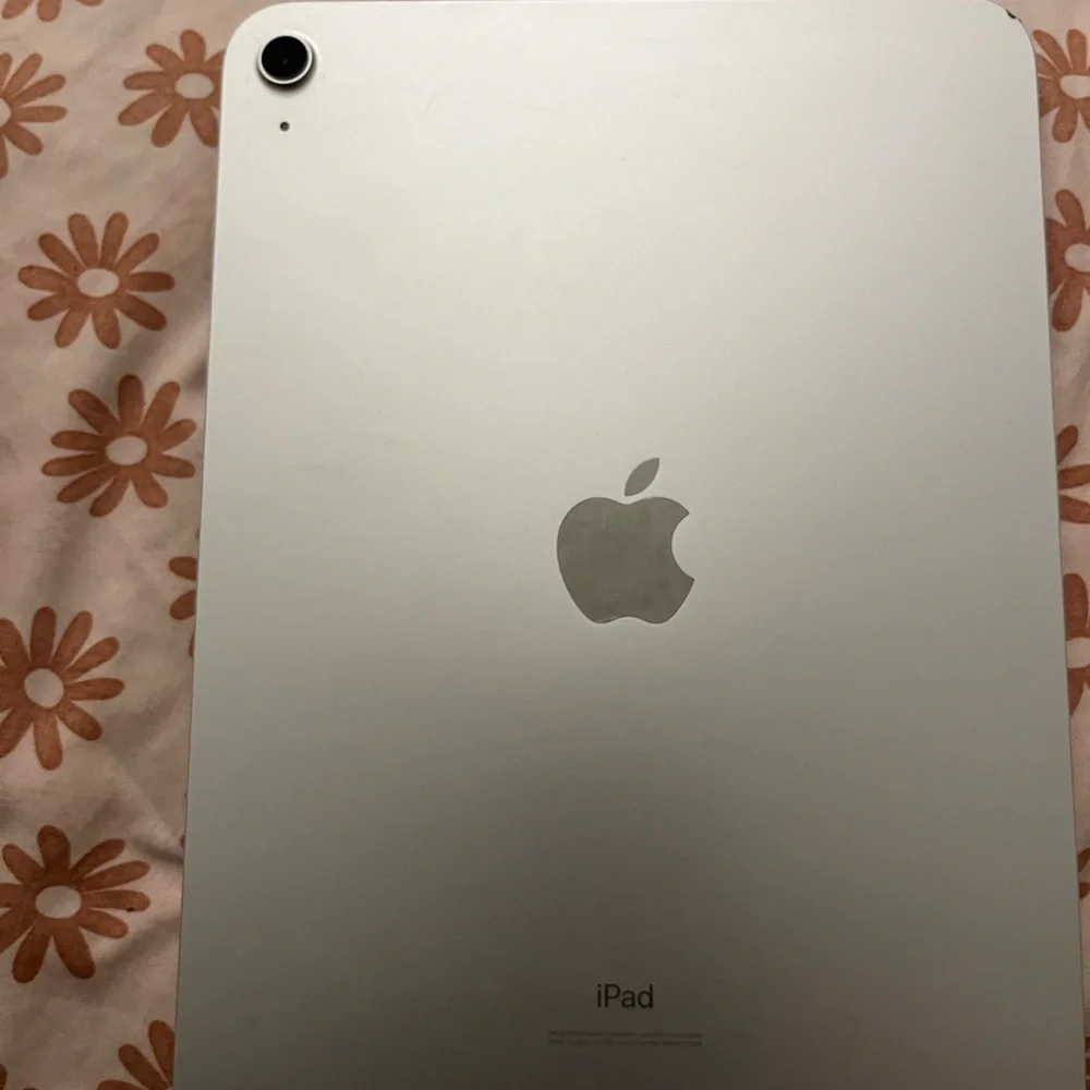 Apple iPad in Sleek Silver